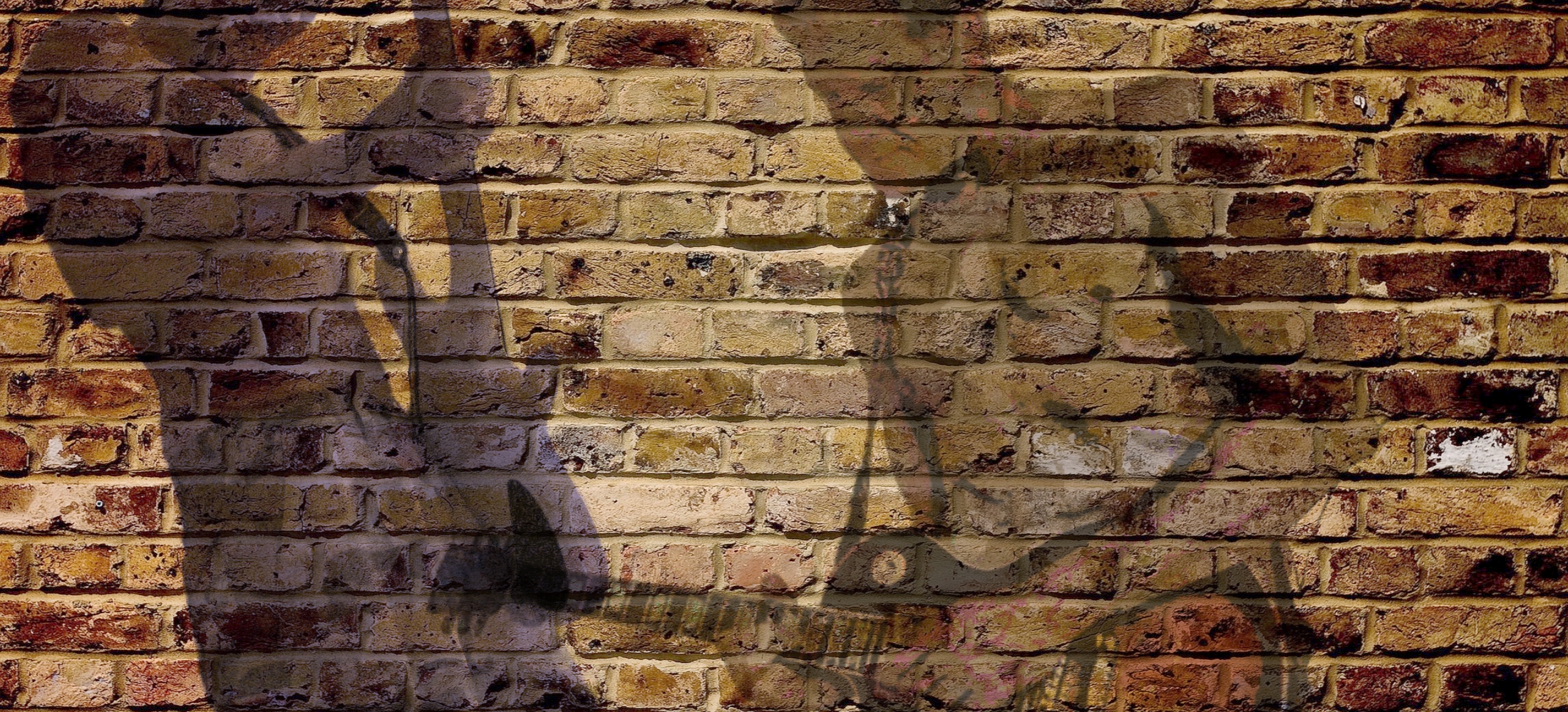 The wide shot behind the logo. Brick, a wall of guitars, a bench mid-session — something with room in the middle, because the mark sits over it.