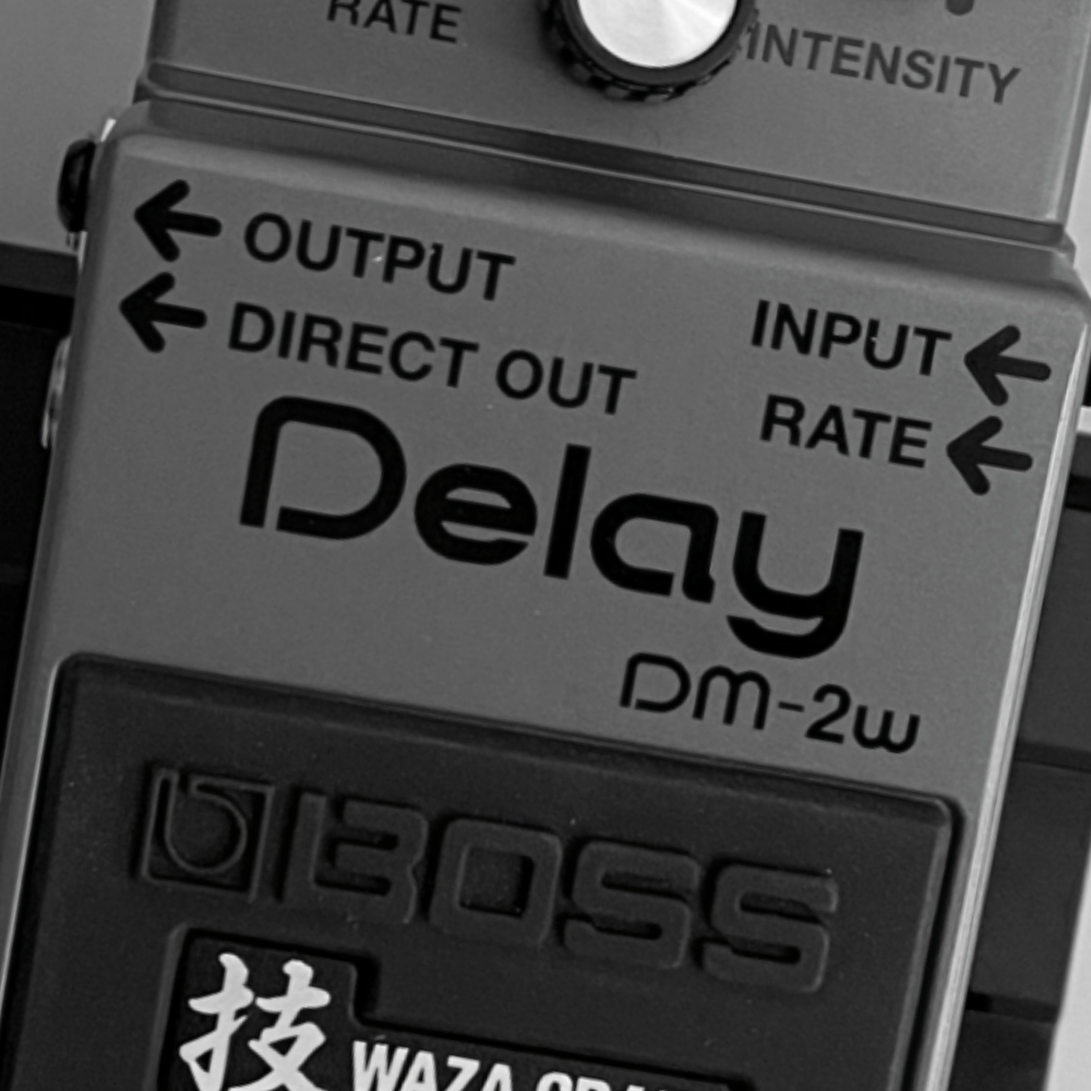 Boss DM-2W Waza Craft Delay