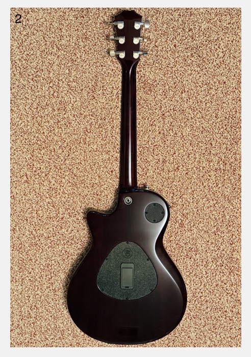 Taylor T5z Pro Acoustic