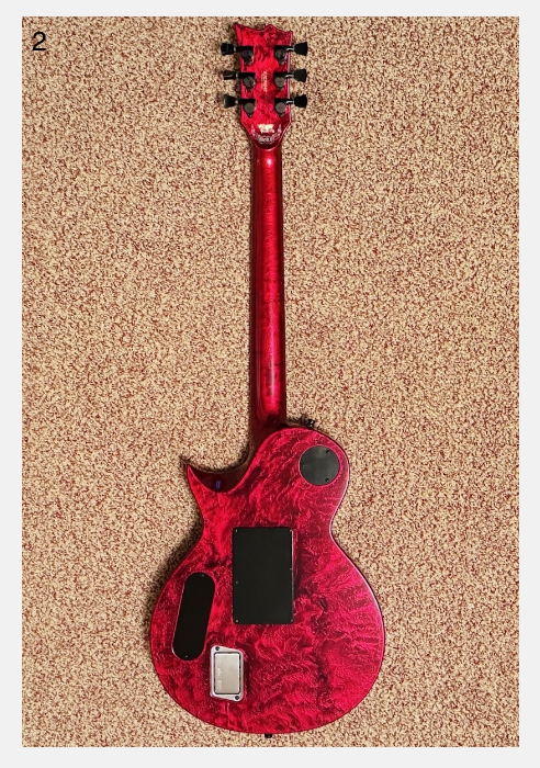 ESP Gary Holt Signature EC