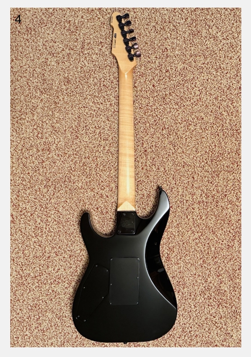 ESP USA M-III Custom