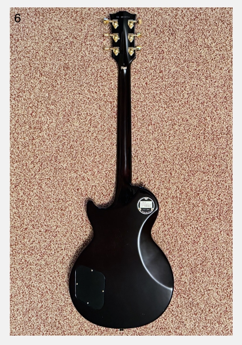 Gibson Les Paul Axcess Custom