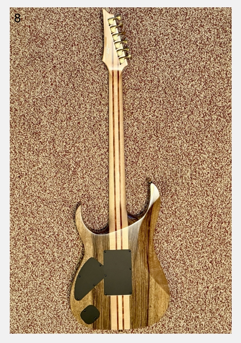 Ibanez IV2RG Visions