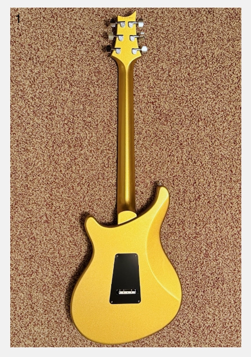 PRS S2 Vernon Reid Vela