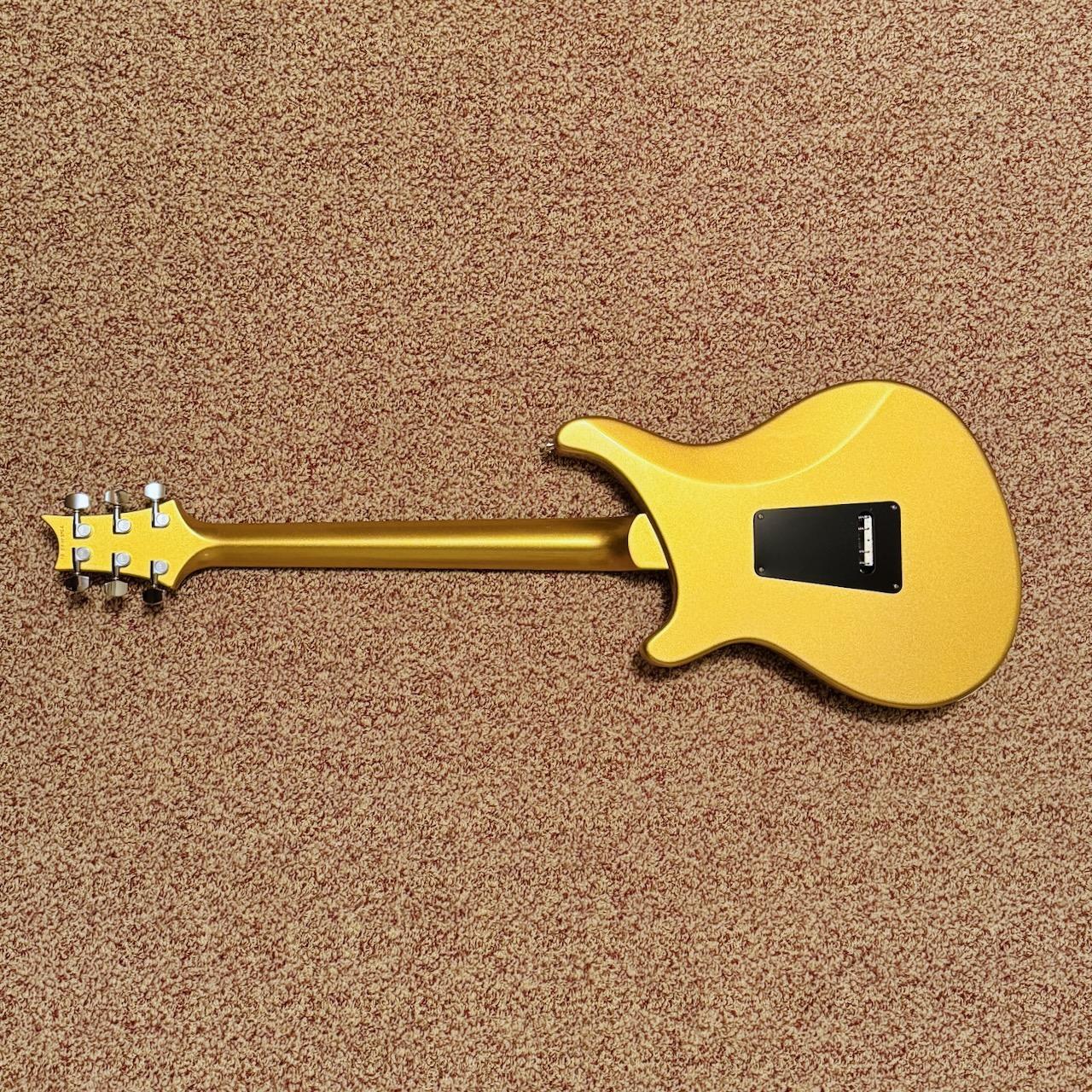 PRS S2 Vernon Reid Vela