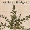 Michael Hedges "Taproot"