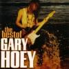 Gary Hoey "The Best Of Gary Hoey"