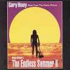 Gary Hoey "The Endless Summer II"