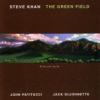 Steve Khan "The Green Field"