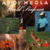 Al DiMeola "World Sinfonia"