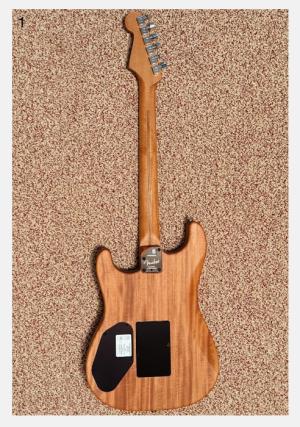 Fender American Acoustasonic Stratocaster Acoustic-Electric