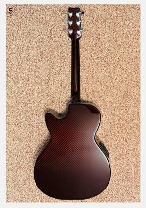RainSong Limited Edition Stars and Stripes Acoustic