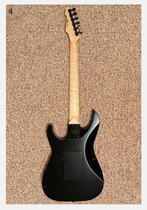 ESP USA M-III Custom