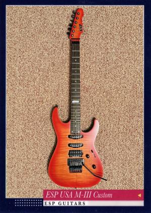 ESP USA M-III Custom