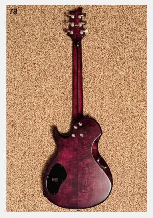 Vigier GV