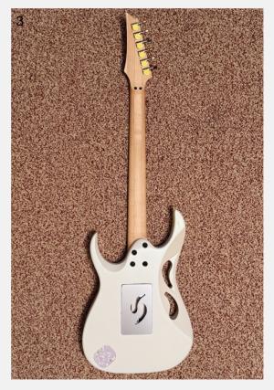 Ibanez PIA3761 Steve Vai Signature