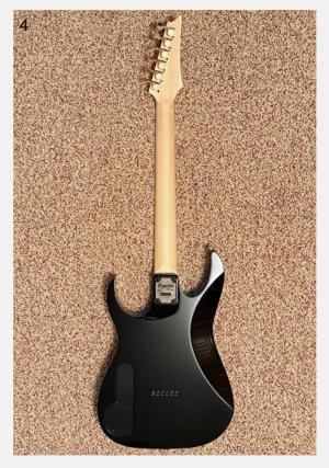 Ibanez PGM333 Paul Gilbert 30th Anniversary