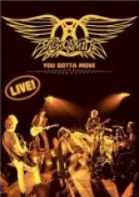 Aerosmith "You Gotta Move"