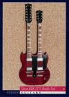 PRS Wood Library Fatback SH Custom 24