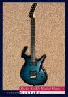 Kiesel V220C