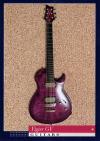 Vigier GV